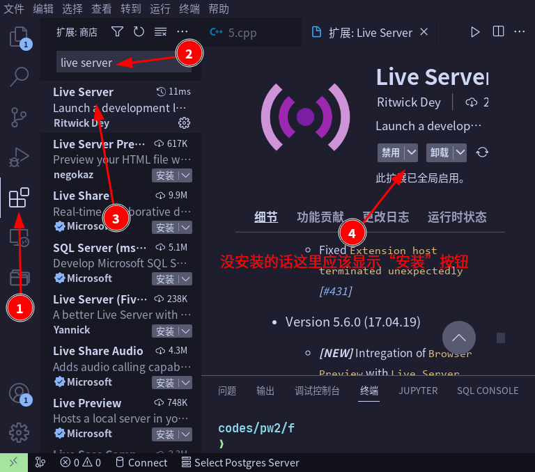 安装 live server