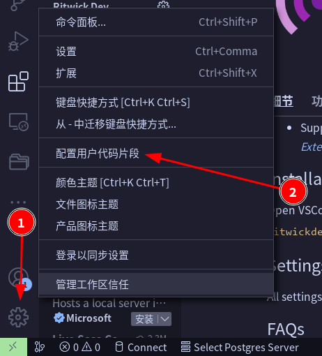 配置用户代码片段